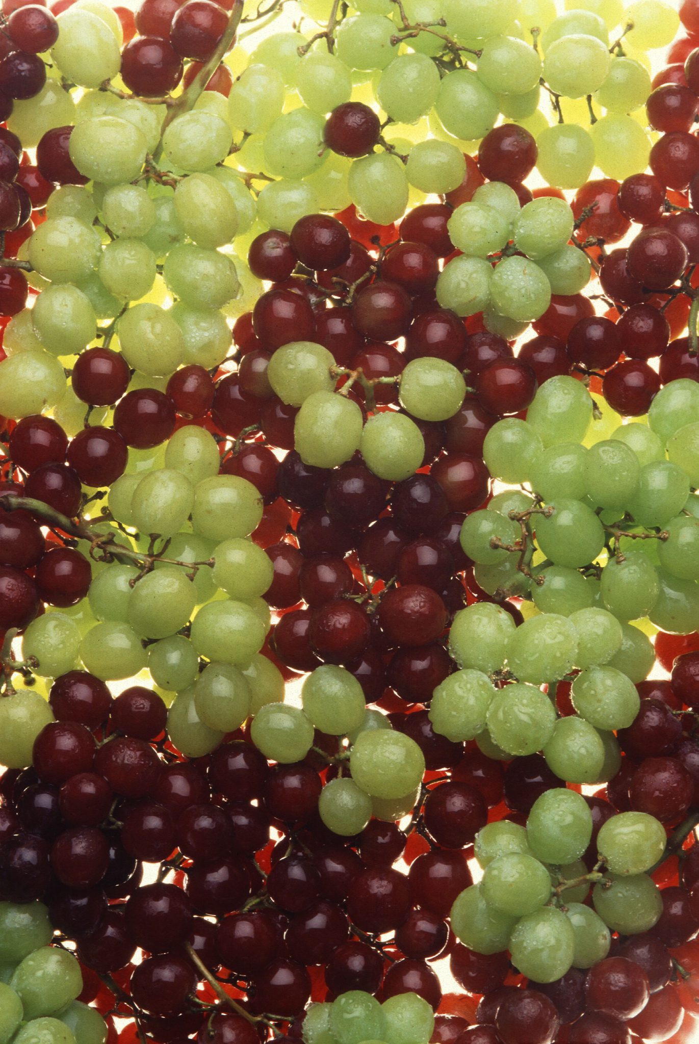 pregnancy-tips-know-which-color-grapes-can-be-beneficial-for-you-in